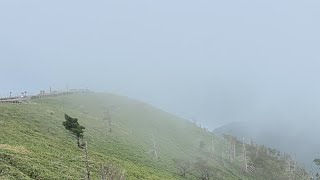 緊急ライブ！※剣山本宮宝蔵石神社⛩️オンライン遠隔参拝①