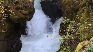 Rogue River Gorge Viewpoint