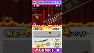 New Super Mario Bros DS 8-5