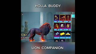 Lion Companion 🦁 Holla Buddy #pubgmobile #pubg