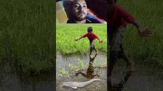 Best Fishing video#amazingfish #video #fish #amazinganimals #funny #comedy #amazinganimals