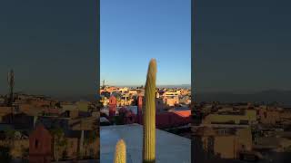 Marrakesh roof top 😍🇲🇦