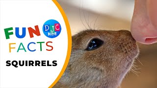 Squirrely Wonders: 5 Nutty Facts Every Kid Should Know! 🐿️🌰 Fun Squirrel Adventures