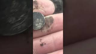 Обожнюю такі знахідки #коп #garrett #ace250  #metaldetecting #coin