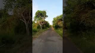 Jalan-jalan di Lembata #short #shorts #tiktok #viral #lembata #viralvideo #viralshorts #jalan_jalan