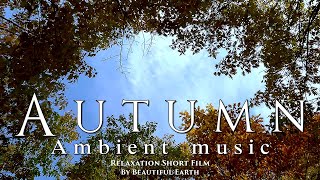 Beautiful ambient music and great views of autumn landscapes. Relaxation Film