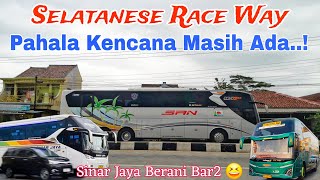 Pahala Kencana Masih Ada‼️Sinar Jaya Jalur Selatan Banyak Yang Mbois⁉️