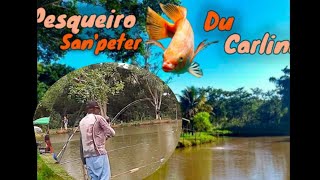 pesqueiro saint Peter deu a louca nos peixes