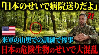 【海外の反応】「日本が持ち込んだもののせいで病院送りだよ」米軍の山奥での訓練で、日本原産の危険生物が大被害を起こし頭を抱える事態に