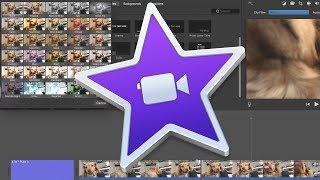 What Can You Do in iMovie?