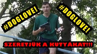 Nem tudsz aludni az ÉJSZAKAI KUTYAUGATÁSTÓL??? NEM ez a MEGOLDÁS...!!!