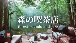 環境音+JAZZ 優しい森の喫茶店  森の中の音でリラックス 作業、勉強、リラックスタイムに CAFE MUSIC - 作業用BGM