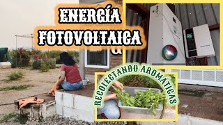 93~‼️ENERGÍA LIMPIA🌞INCENDIO FORESTAL🔥PRIMEROS LOGROS🌵#vlog #panelessolares