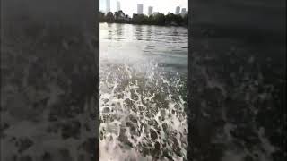 Thrilling speedboat ride in Nianjia Lake, Changsha | China #Shorts