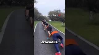 Why Are They Crawling Like Crocodiles? 🐊