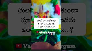 Tulasi plant #shorts #vairal #youtubeshorts