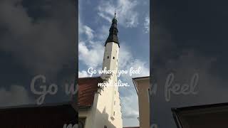 #motivation #inspiration  #positivevibes #oldtown#Estonia #Tallinn #Europe#youtubeshorts#shorts#love