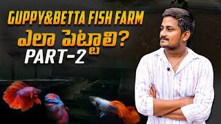 How to start Guppy&Betta Fish Farm at home in Telugu