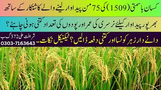 How Farmer got record harvest of Kisan Basmati 1509 @CyberAgriExtension