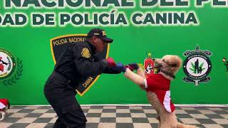 Conoce más sobre Unidad de Policía Canina PNP