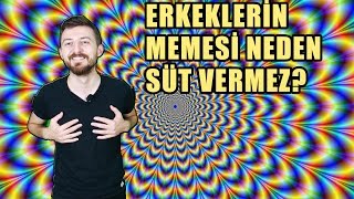 Erkeklerin Memesi Neden Süt Vermez?