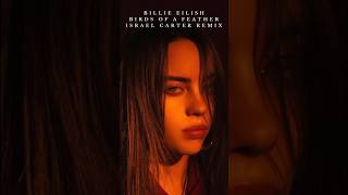 @BillieEilish - Birds of a Feather (Israel Carter Remix)