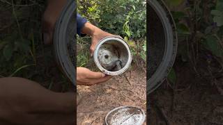 Must watch!!! Survival skill with cans in jungle #camping #bushcraft #outdoors #forest #skills