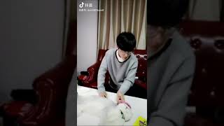 The cat will not forgive him 🤣 #xiaozhan #funny #cutemoments