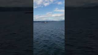 Ferry ride to Duke Point, Nanaimo BC - can you see the 🐋 🐳 🐋