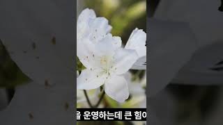 안가보면 후회할껄? 포항 영일대 호텔 추천 TOP 3