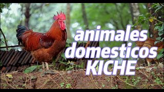 nombres de animales domesticos en idioma K'ICHE'