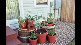 Balcony vegetable garden ideas