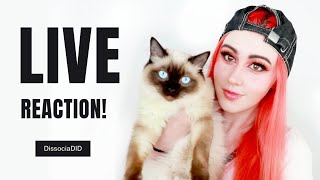 LIVE REACTION & THANK YOU!! | DissociaDID | Dissociative Identity Disorder