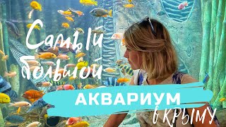 КРЫМ. Самый большой аквариум на полуострове. Дорогие билеты и много народу