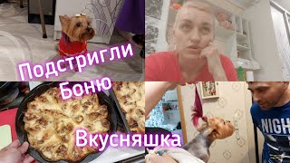 ВЛОГ Подстригли Боню. Приготовила вкусняшку.