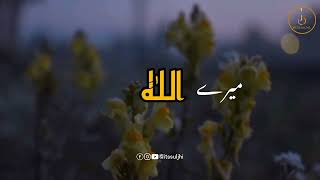 Saans Ye Meri Teri Amanat Hai ❤️❤️ || #whtasappstatus #viralvideo  @Sunnatuljannah019