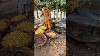 drying dates fruit in bulk