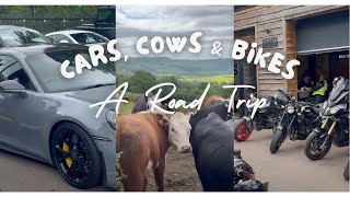 Cars, Cows and Bikes