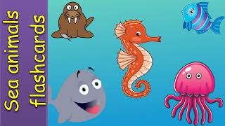 Sea Animals - English educational video