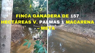 FINCA GANADERA EN LA MACARENA META