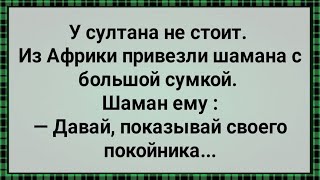 Как Африканский Шаман Султана Лечил! Сборник Свежих Анекдотов! Юмор!