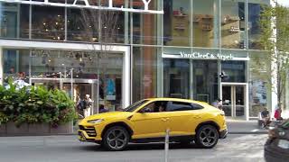 Yellow Lamborghini Urus on Bloor Street | Carspotting + Slow Mode + Reverse Experience