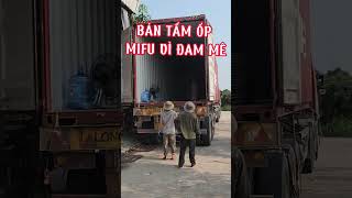 KINH DOANH TẤM ỐP MIFU VÌ ĐAM MÊ ANH EM Ạ. #tamopnhua #mifu #tamnhuaoptran #wood #nhadep