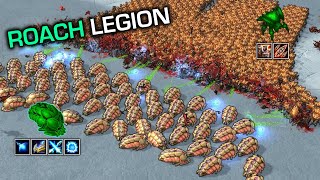 Do 1000 Roaches beat 60 Reavers? Co-op units vs standard units