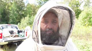 Beekeeping: Colony spot checks and yard maintenance. (Pollen Flow)