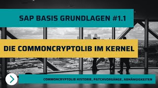 Die SAP CommonCryptoLib Patchen, Abhängigkeiten Analysieren und die Historie - Basis Grundlagen #1.1