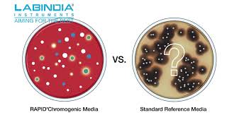 RAPID'Chromogenic Media Solutions | Labindia Instrumets | Biorad