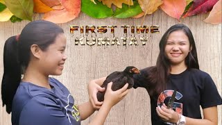 First Time Mag Katay ng  Manok---Survival Skills