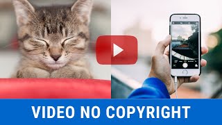 SCARICA GRATIS VIDEO SENZA COPYRIGHT IN ALTA QUALITA' PER I TUOI CONTENUTI