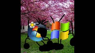 Windows Vista spreads lies with Windows Blossom @SunsetShinePPT #windows